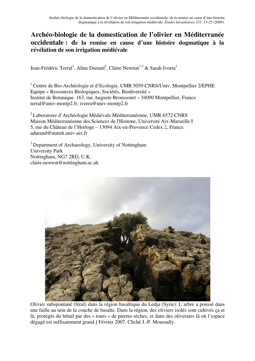 PDF) Archéo-biologie de la domestication de l'olivier en