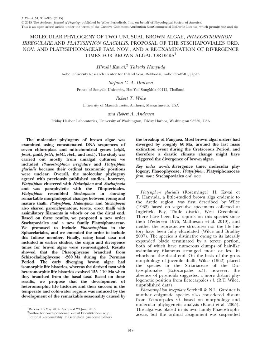 (PDF) Molecular phylogeny of two unusual brown algae, Phaeostrophion ...