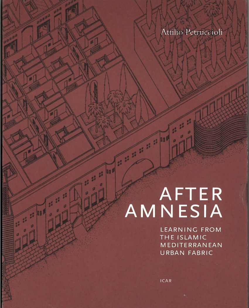 social amnesia book