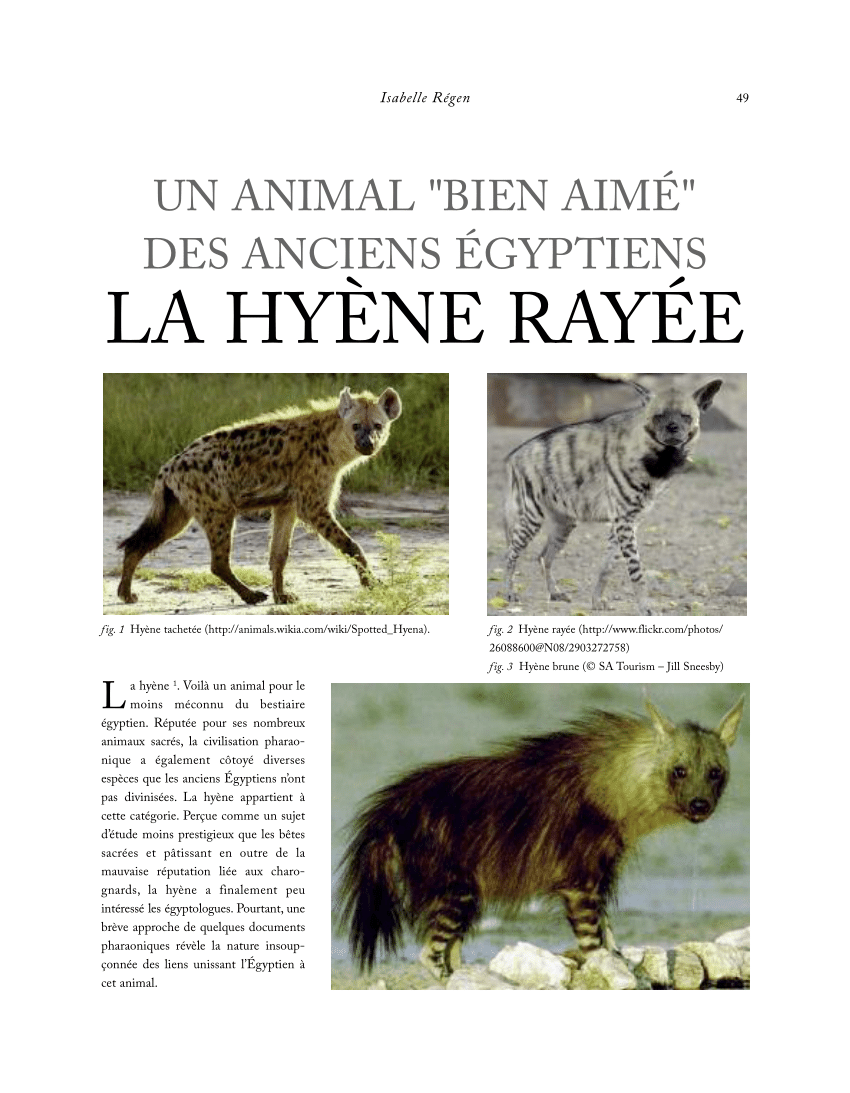 Pdf Un Animal Bien Aime Des Anciens Egyptiens La Hyene Rayee