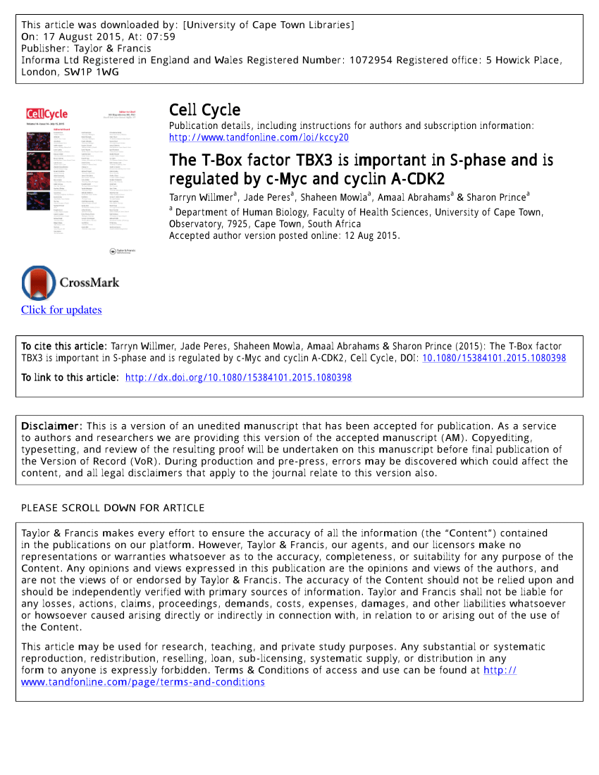 factor TBX3 is important in S-phase 