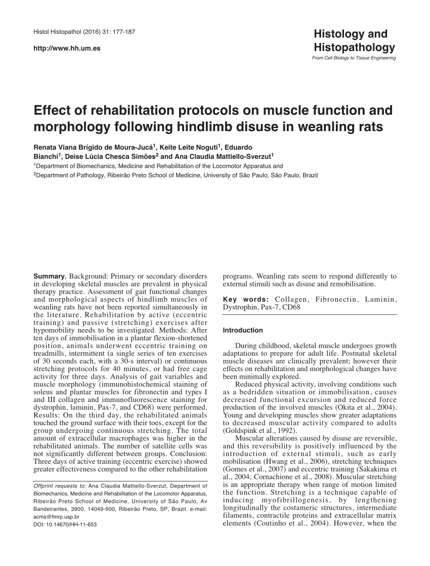 PDF) Effect of rehabilitation protocols on muscle function and
