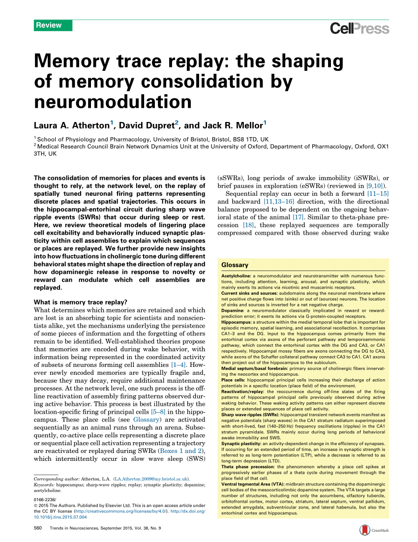 research on memory consolidation
