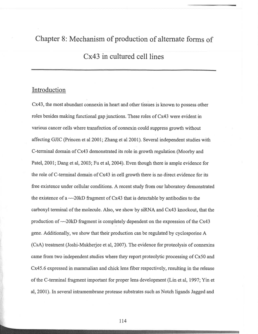 thesis cell line