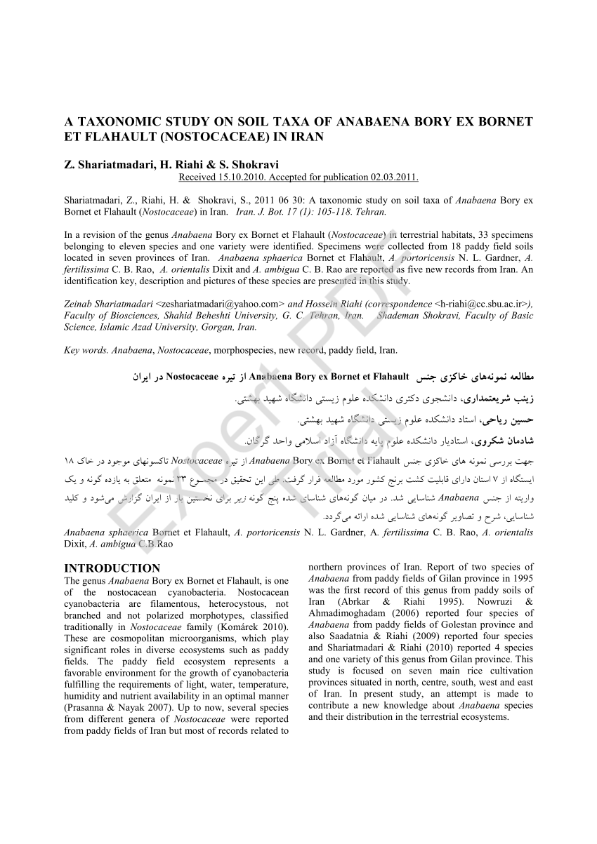Pdf A Taxonomic Study On Soil Taxa Of Anabaena Bory Ex Bornet Et Flahault Nostocales In Iran