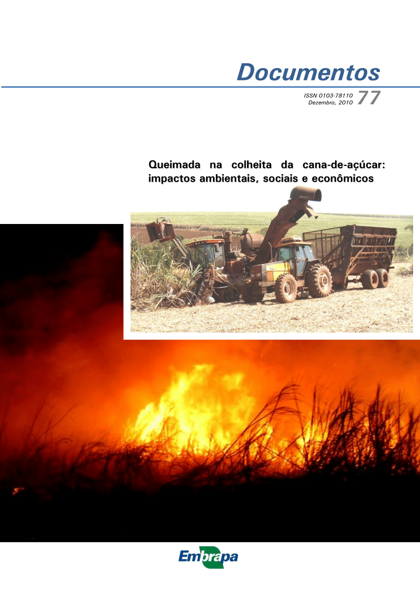 DF emite alerta para queimadas até o fim do período de seca na