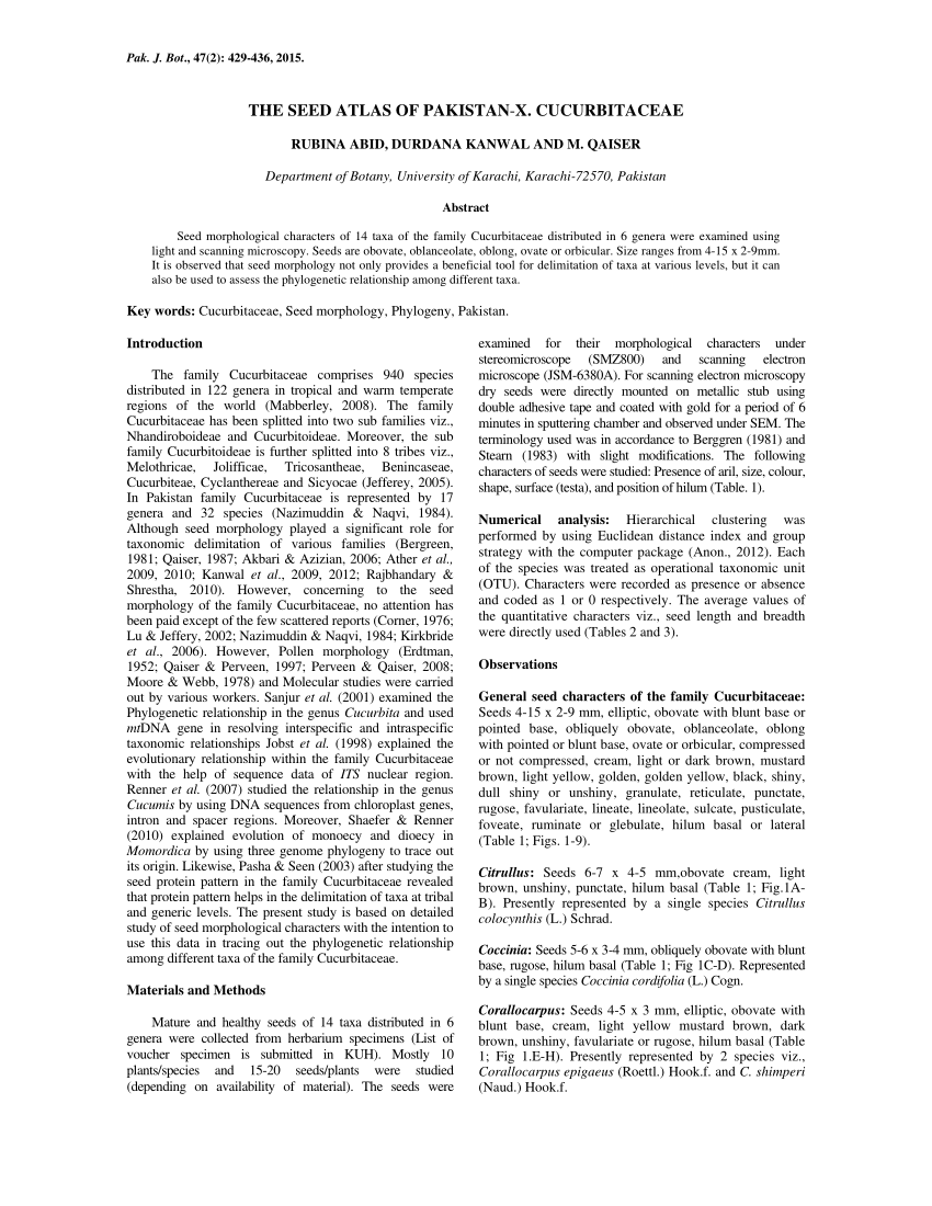 Pdf The Seed Atlas Of Pakistan X Cucurbitaceae