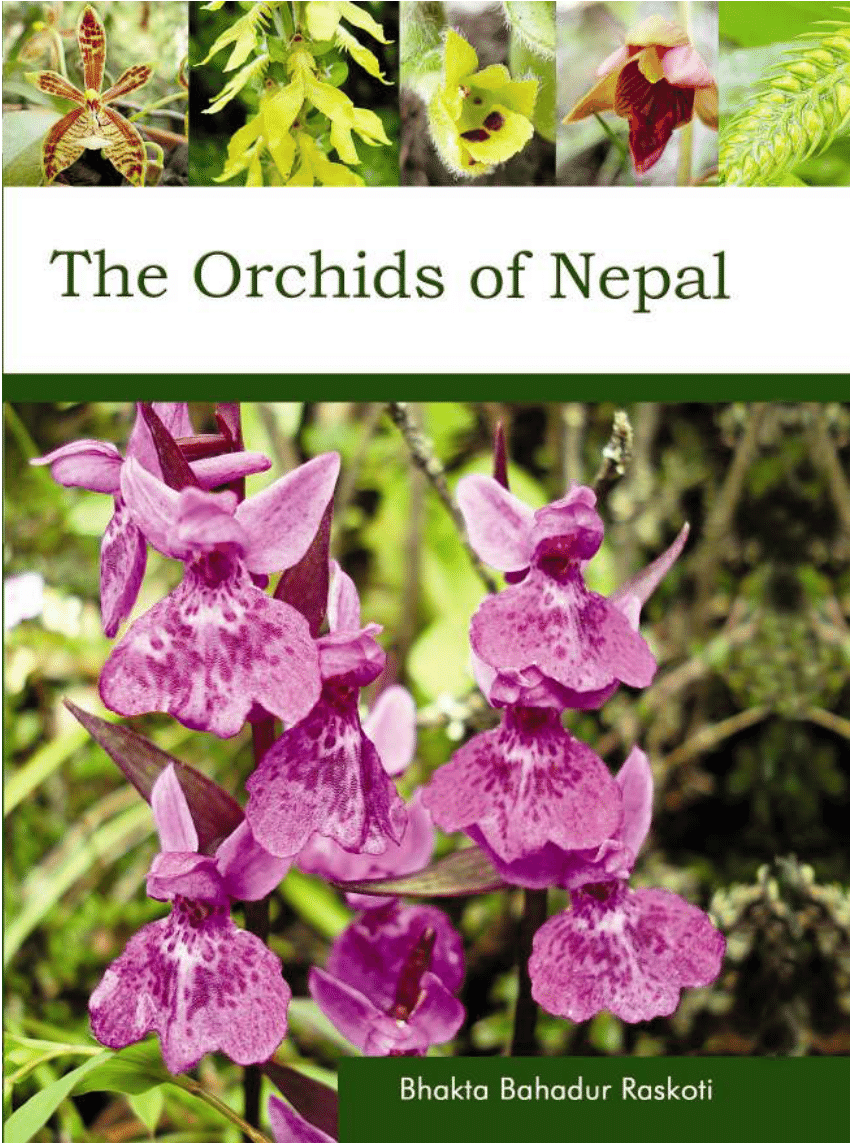 Pdf The Orchids Of Nepal
