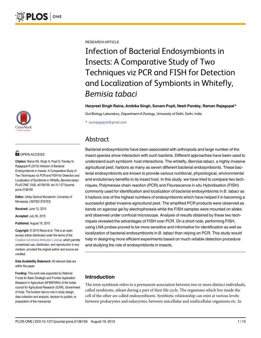 Methods for the Extraction of Endosymbionts from the Whitefly