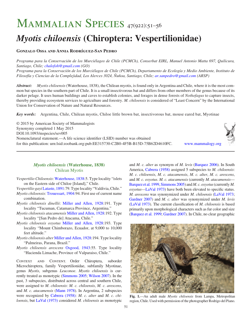 PDF) Myotis chiloensis (Chiroptera: Vespertilionidae)