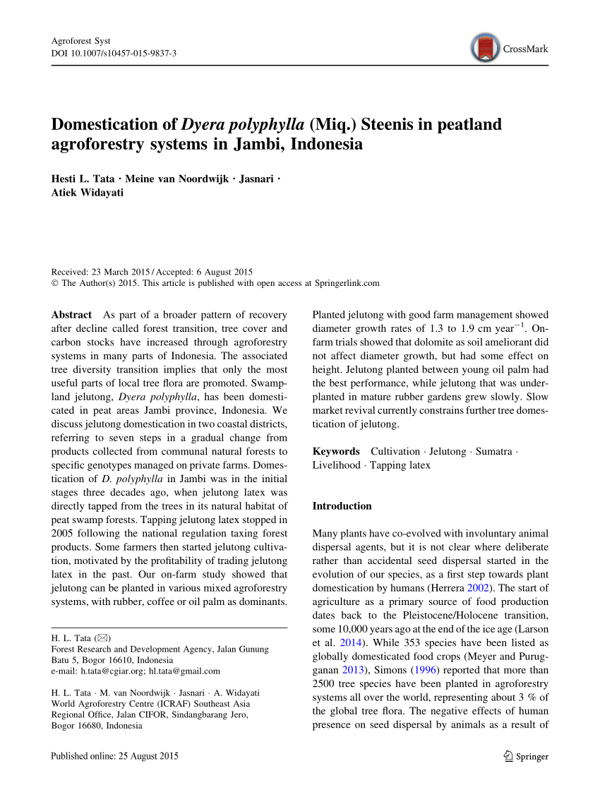 Pdf Domestication Of Dyera Polyphylla Miq Steenis In Peatland