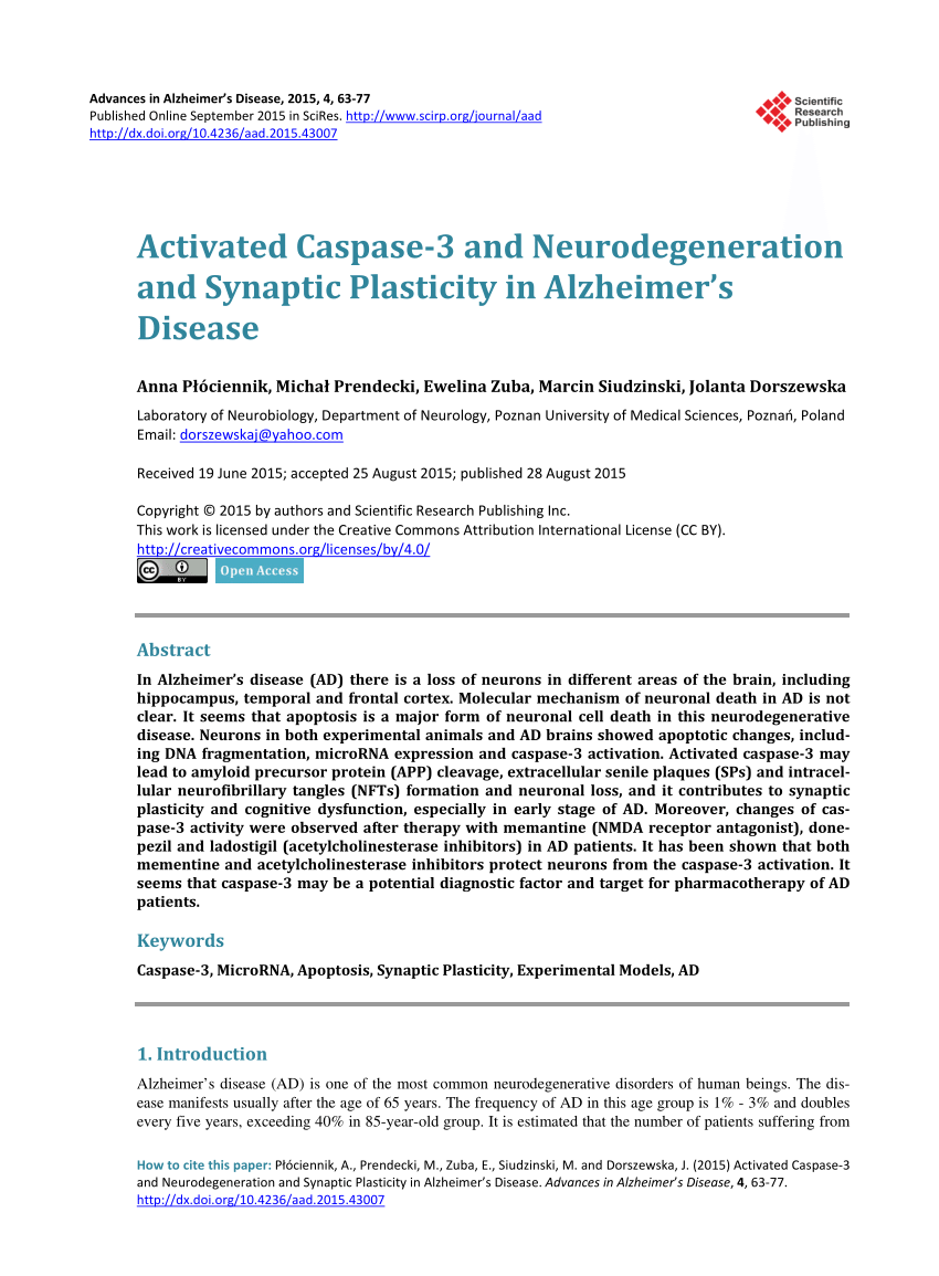 PDF) Activated Caspase-3 and Neurodegeneration and Synaptic ...