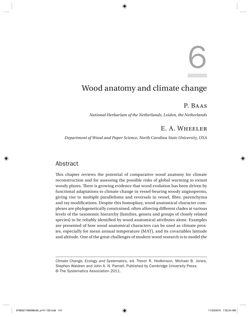 Pdf Wood Anatomy And Climate Change