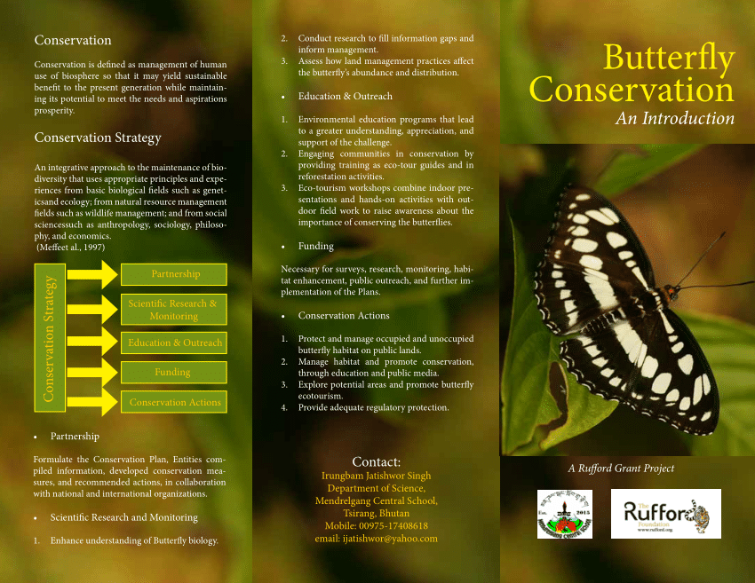 research paper on butterfly diversity