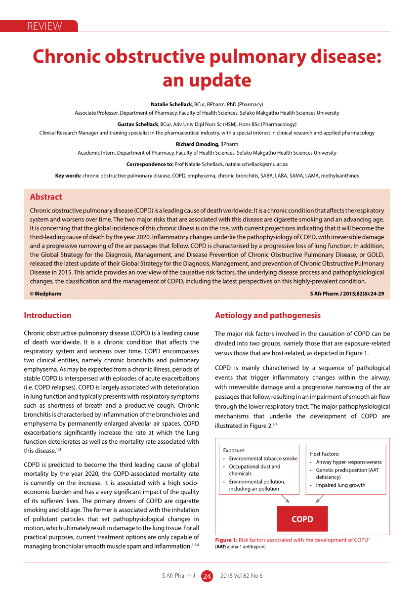 chronic obstructive pulmonary disease research paper