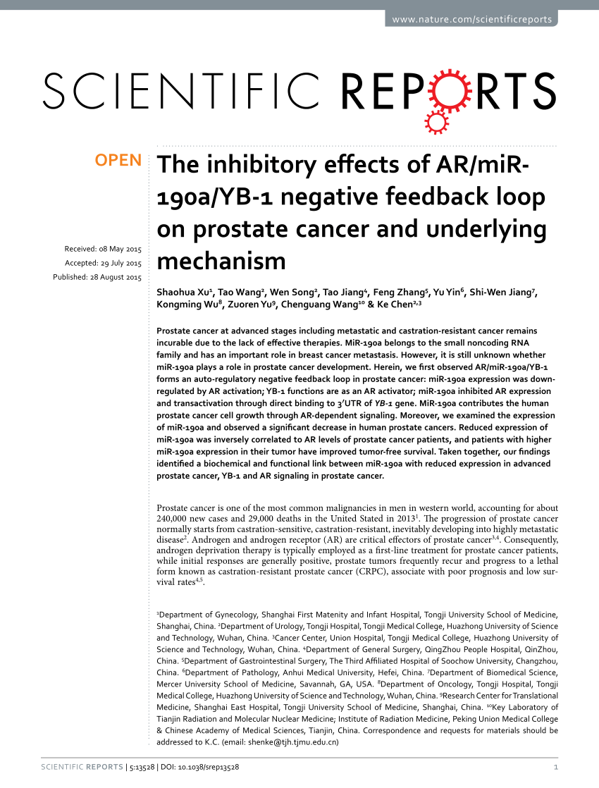 The inhibitory effects of AR/miR-190a/YB-1 negative 