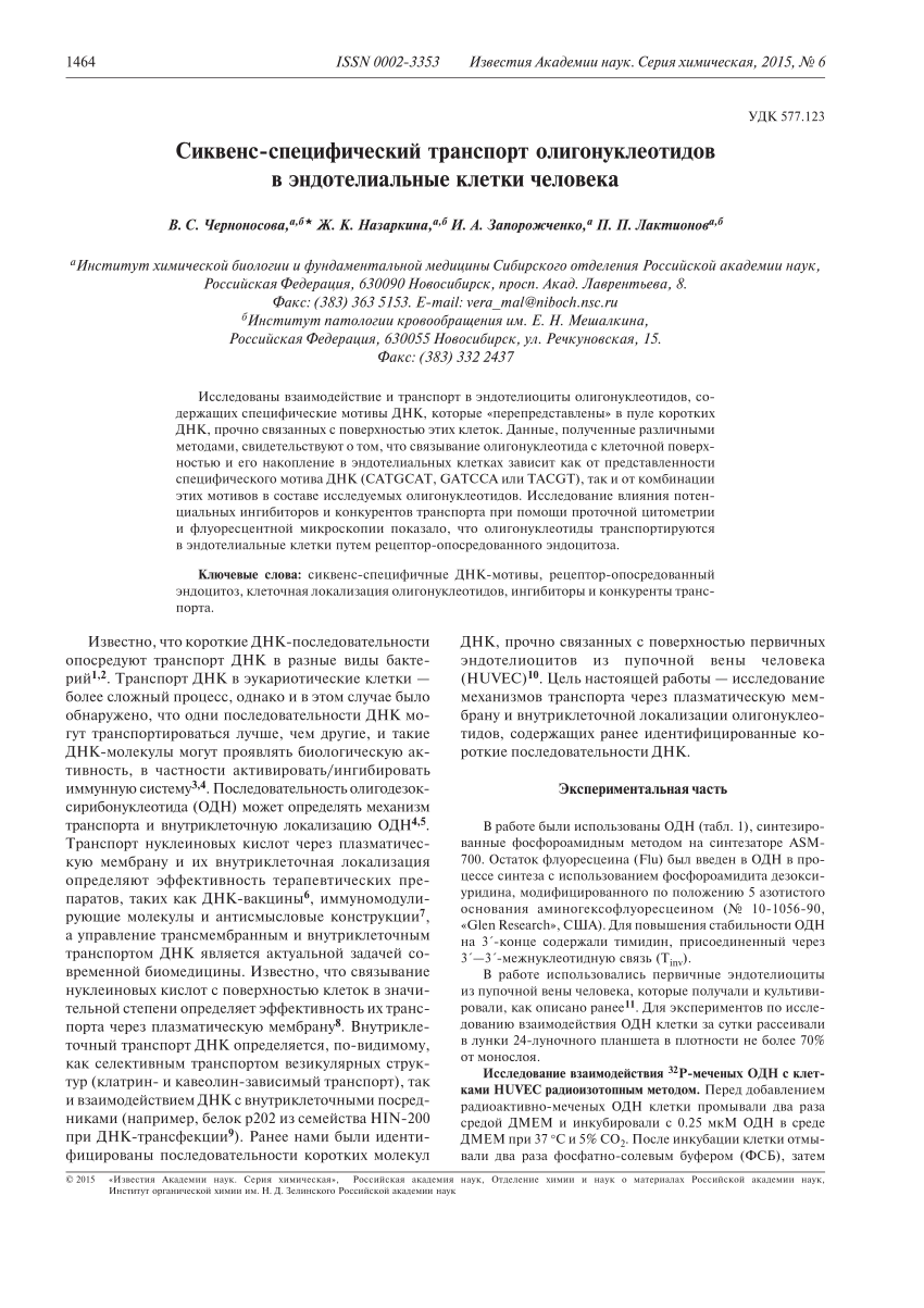 PDF) Сиквенс специфический транспорт олигонуклеотидов в эндотелиальные клетки  человека