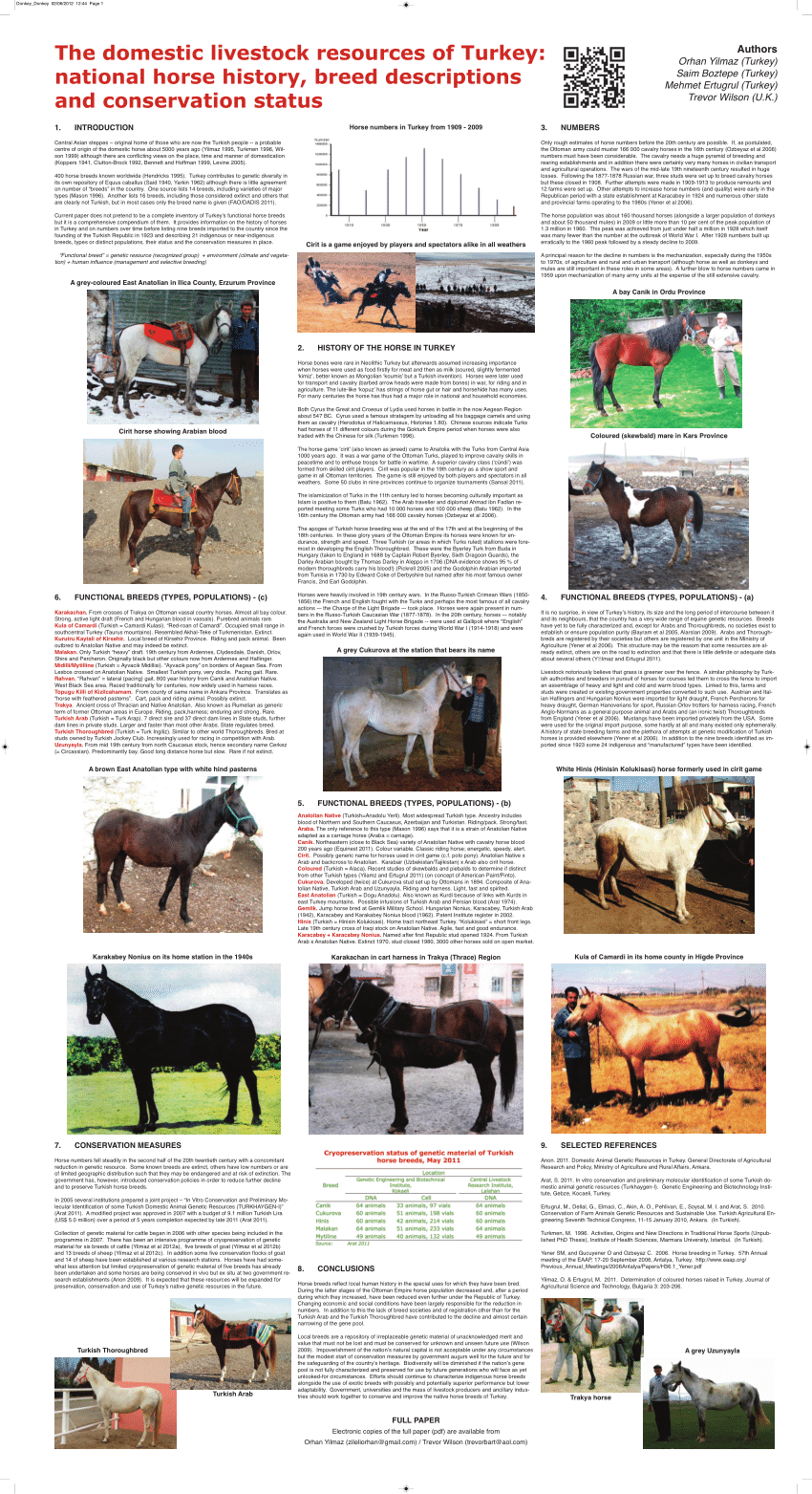 35++ Horse breeds a z with pictures pdf ideas in 2021 