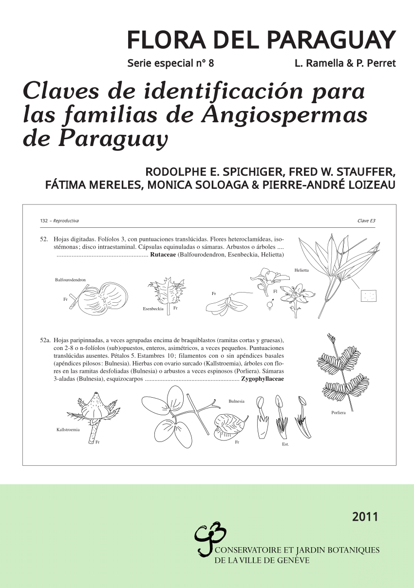 Pdf Claves De Identificacion Para Las Familias De Angiospermas De