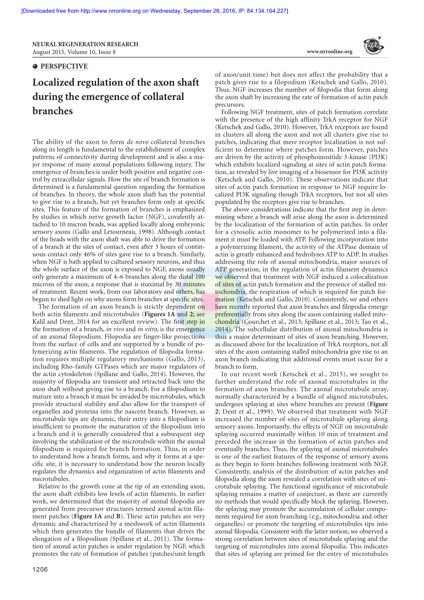 (PDF) Localized regulation of the axon shaft during the ...