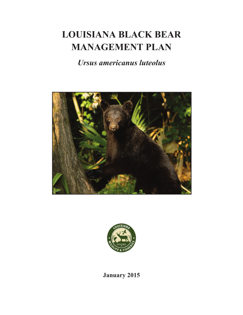 PDF) Louisiana Black Bear Management Plan