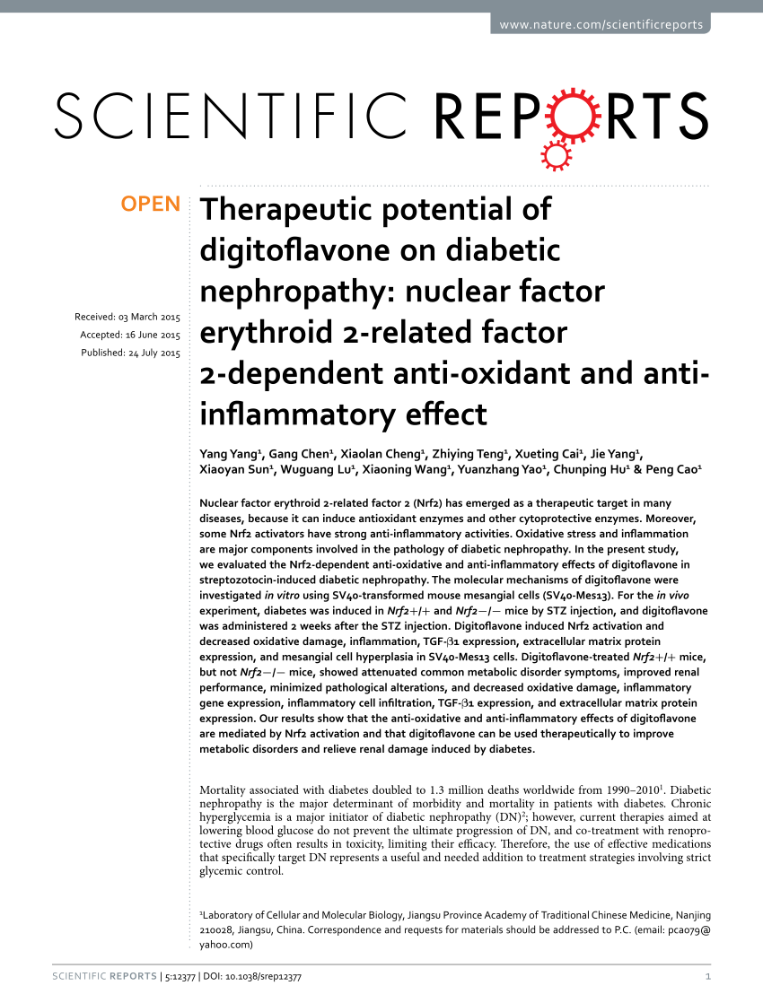 Pdf Therapeutic Potential Of Digitoflavone On Diabetic Nephropathy Nuclear Factor Erythroid 2 Related Factor 2 Dependent Anti Oxidant And Anti Inflammatory Effect