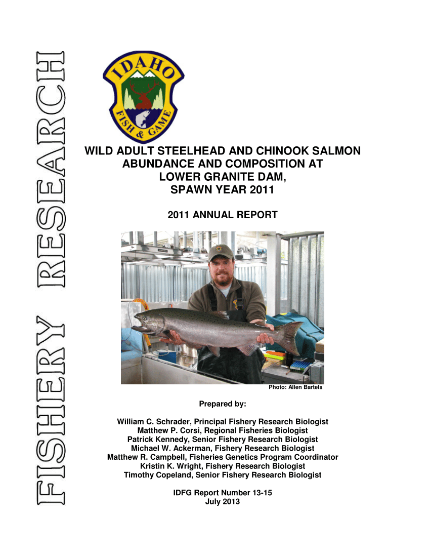PDF) Wild Adult Steelhead and Chinook Salmon Abundance and Composition at  Lower Granite Dam, Spawn Year 2011