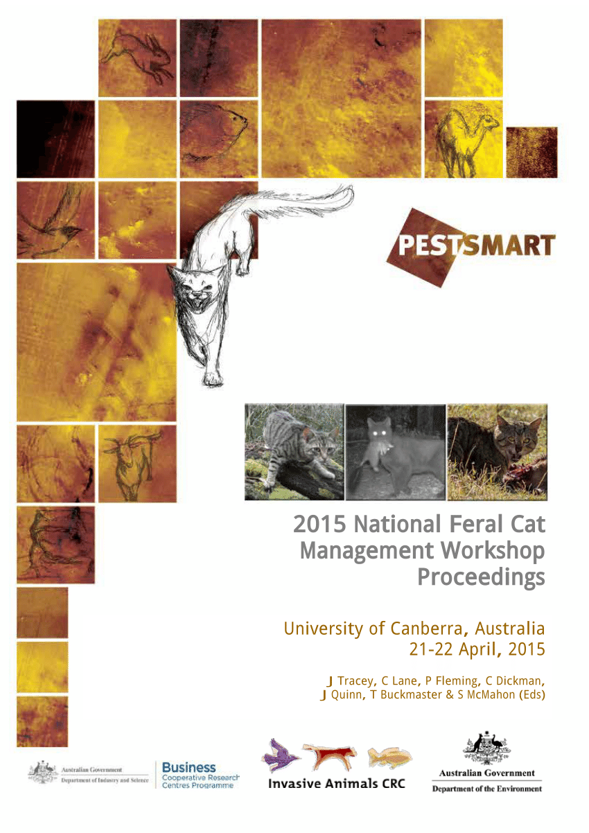 Trapping of feral cats-using soft net traps - PestSmart