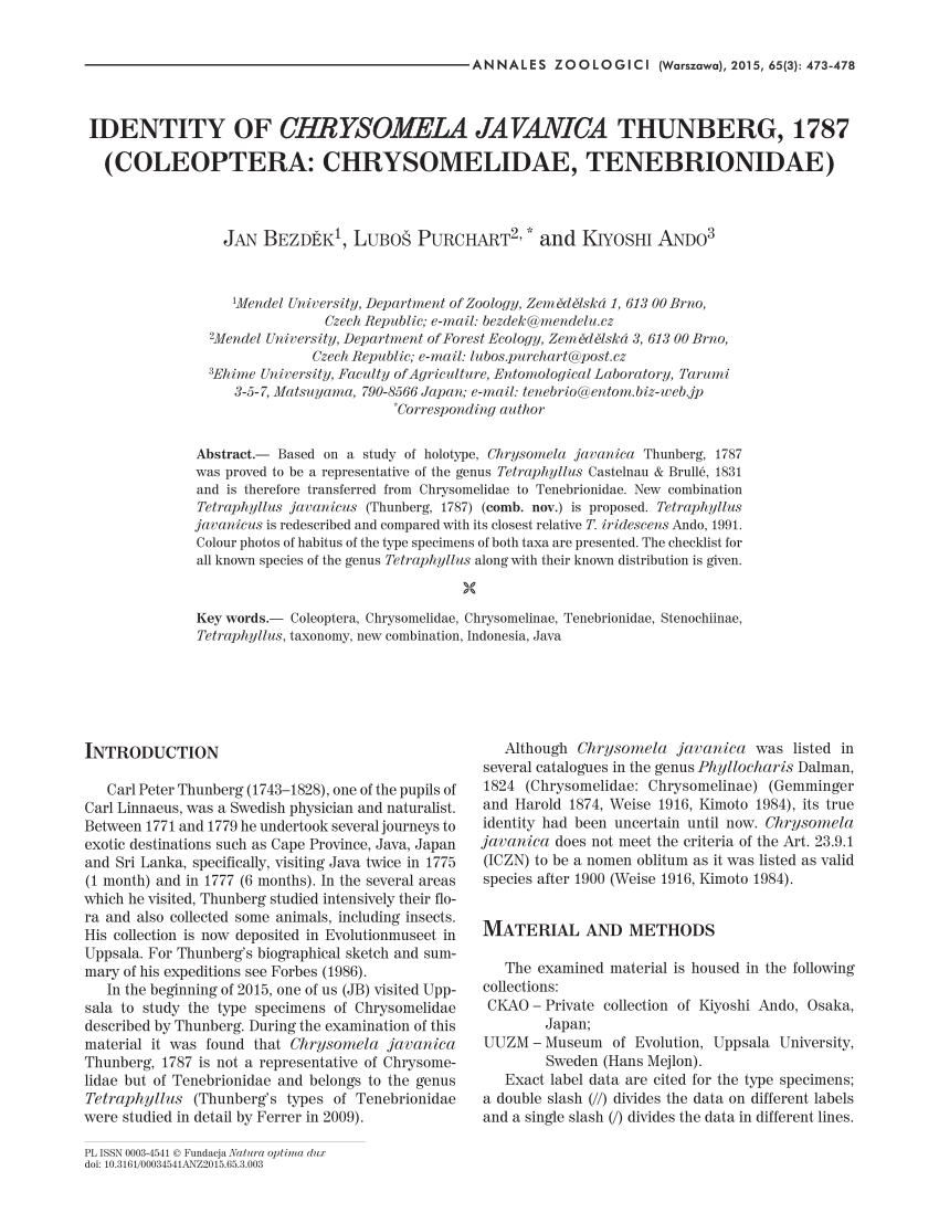 Pdf Identity Of Chrysomela Javanica Thunberg 1787 Coleoptera Chrysomelidae Tenebrionidae