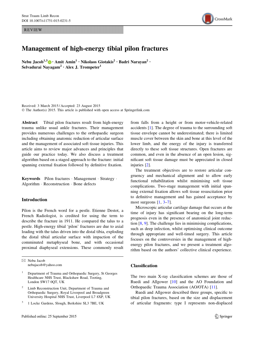 Pdf Management Of High Energy Tibial Pilon Fractures