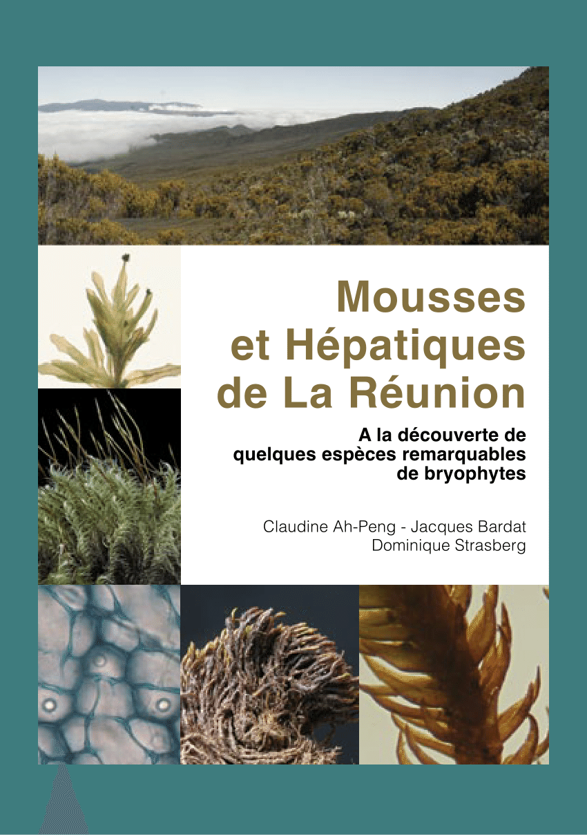 pdf mousses et hepatiques de la reunion a la decouverte de quelques especes remarquables de bryophytes pdf mousses et hepatiques de la