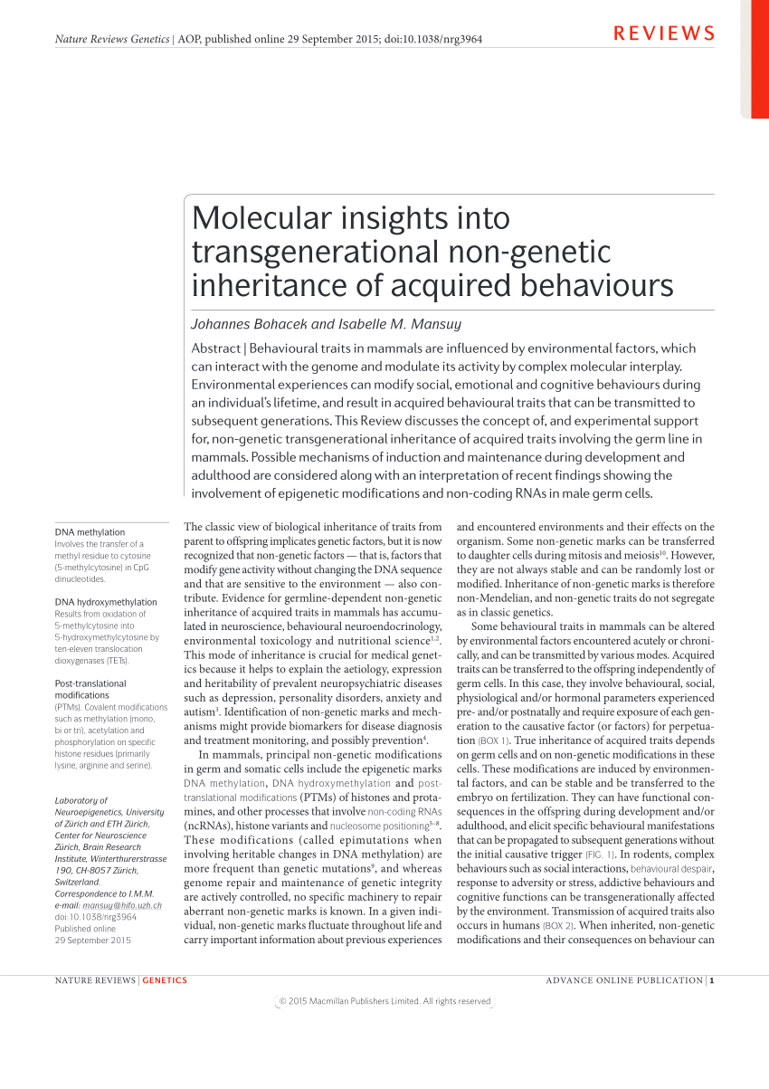 PDF Molecular insights into transgenerational non genetic