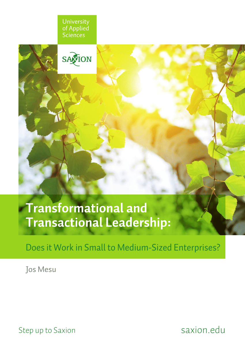 PDF) Transformational and Transactional Leadership: Does It Work 