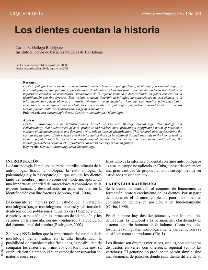 Cemento Dental, PDF, Diente humano