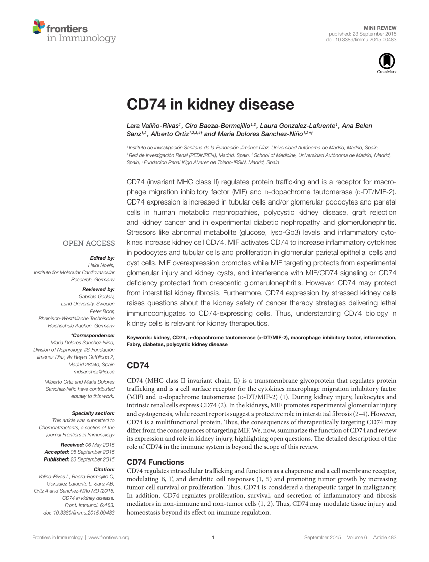 PDF CD74 in Kidney Disease