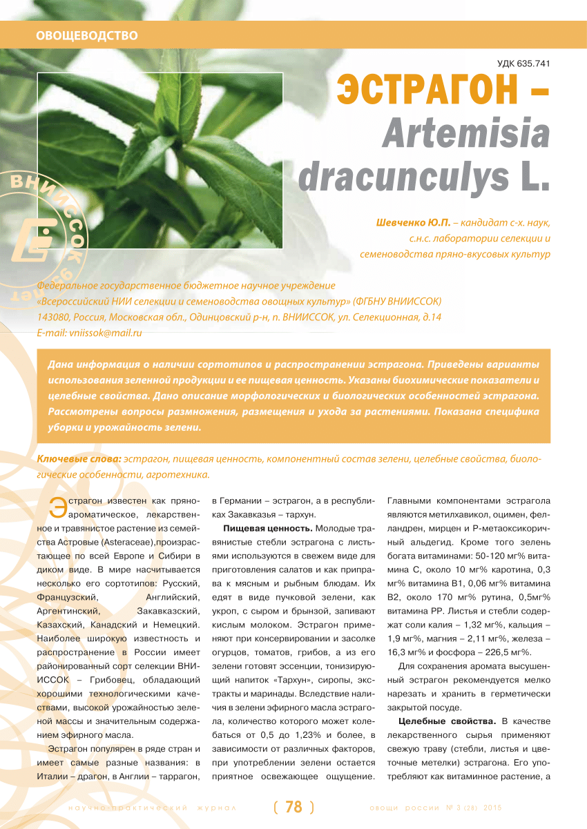 PDF) ESTRAGON (Artemisia dracunculys L.)