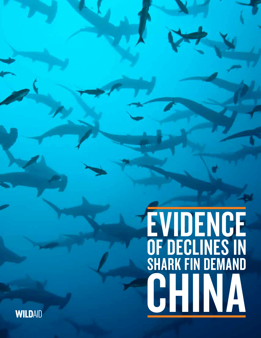 PDF) Evidence of declines in shark fin demand: China