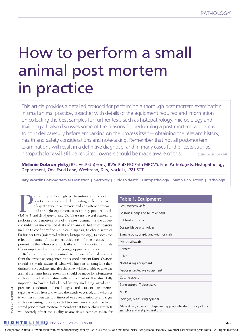 PDF) How to perform a small animal post mortem in practice