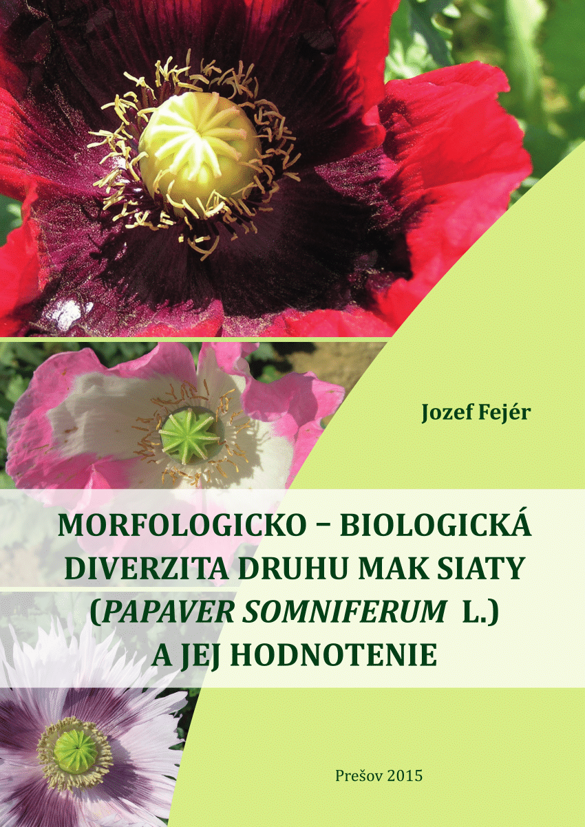 (PDF) Morfologicko – biologická diverzita druhu mak siaty (Papaver ...