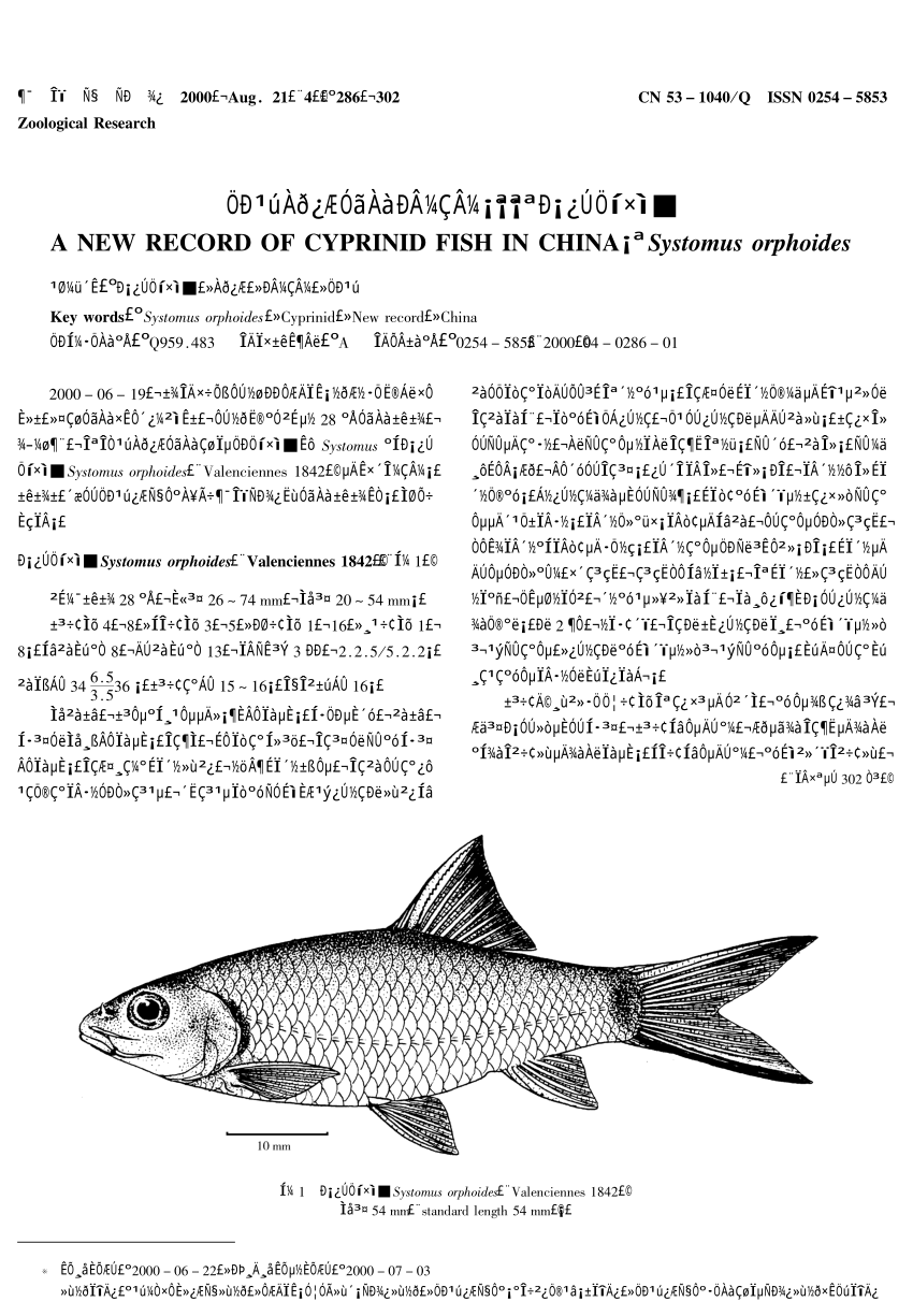 Pdf A New Record Of Cyprinid Fish In China Systomus Orphoides