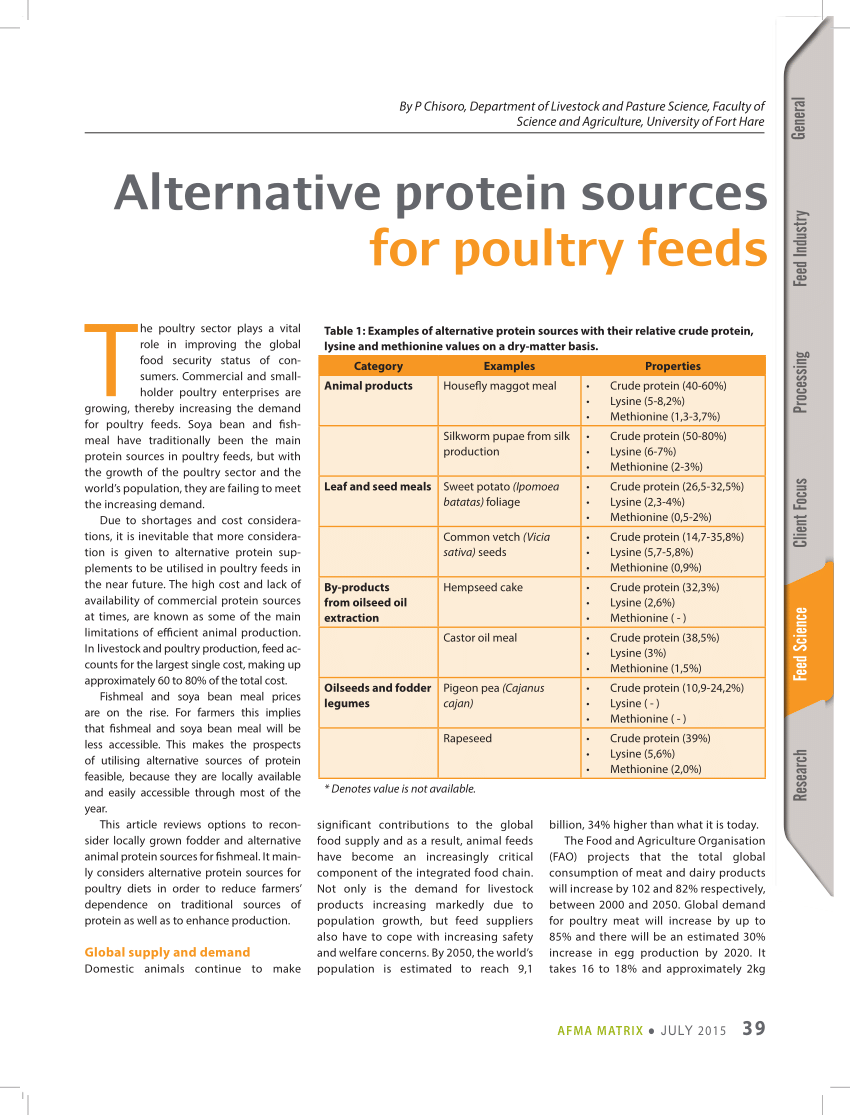 alternative chicken feeds research paper