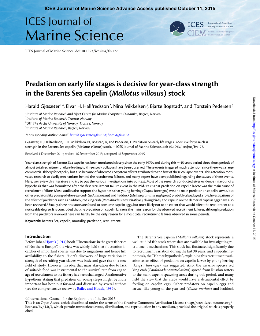 PDF) Predation on early life stages is decisive for year-class strength in  the Barents Sea capelin (Mallotus villosus) stock