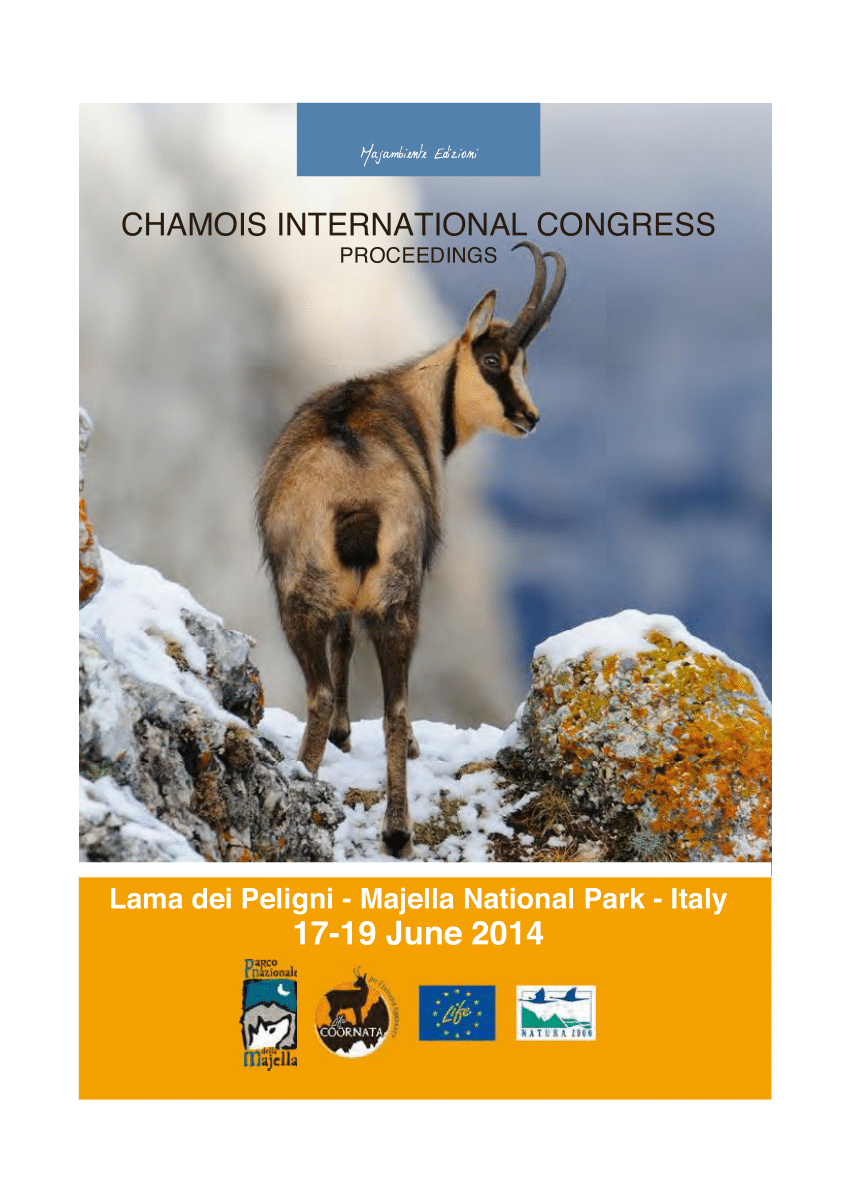 Chamois l Remarkable Bovid Variety - Our Breathing Planet