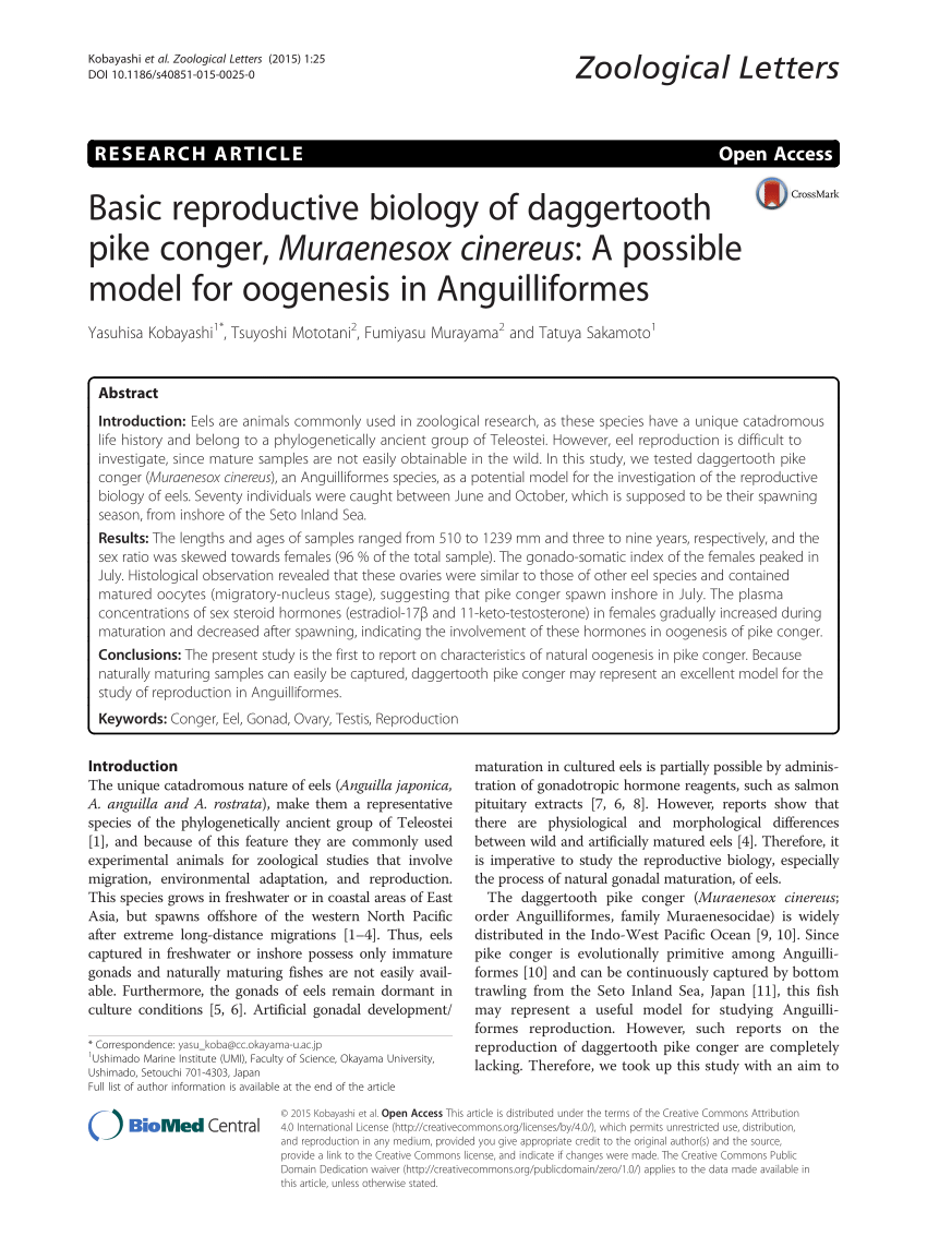 https://i1.rgstatic.net/publication/282890235_Basic_reproductive_biology_of_daggertooth_pike_conger_Muraenesox_cinereus_A_possible_model_for_oogenesis_in_Anguilliformes/links/565ce5a708aeafc2aac727a8/largepreview.png