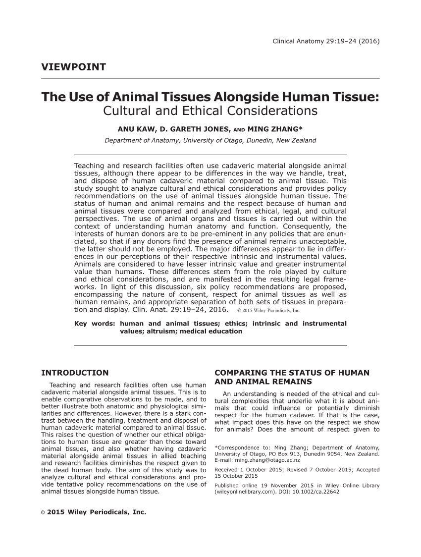 essay on animal tissue