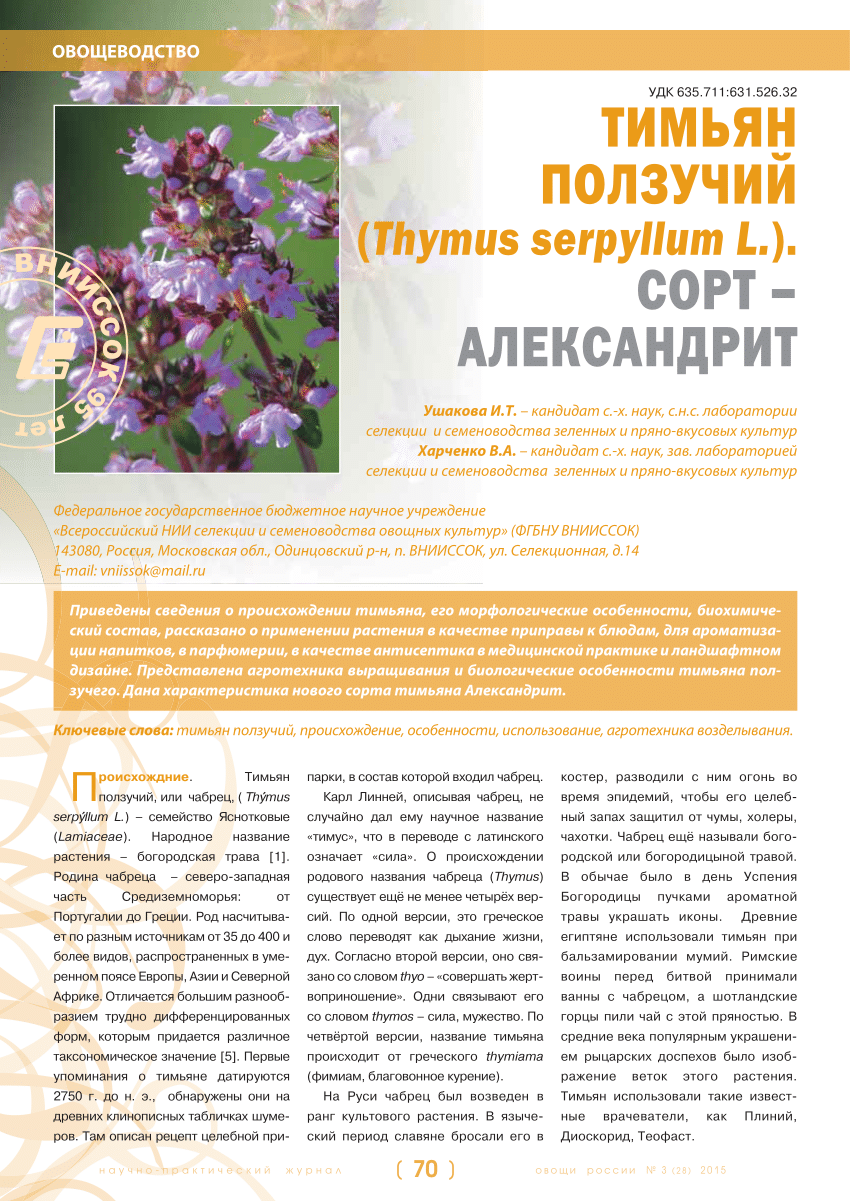 PDF) CREEPING THYME (THYMUS SERPYLLUM L.) CV. ALEKSANDRIT