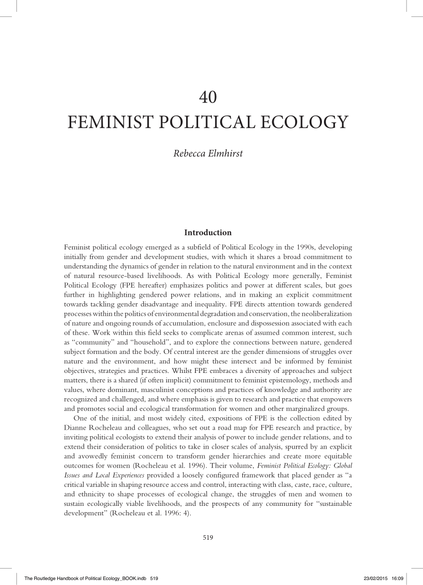 feminist political essays
