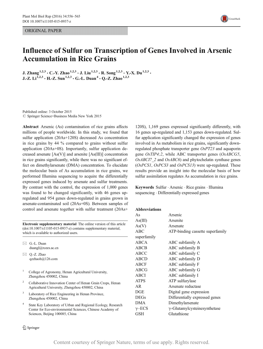 Influence Of Sulfur On Transcription Of Genes Involved In Arsenic Accumulation In Rice Grains