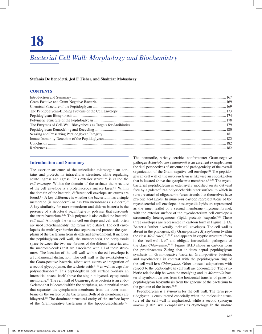 PDF) Bacterial Cell Wall: Morphology and Biochemistry