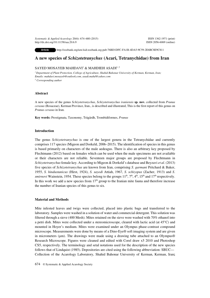 (PDF) A new species of Schizotetranychus (Acari, Tetranychidae) from Iran